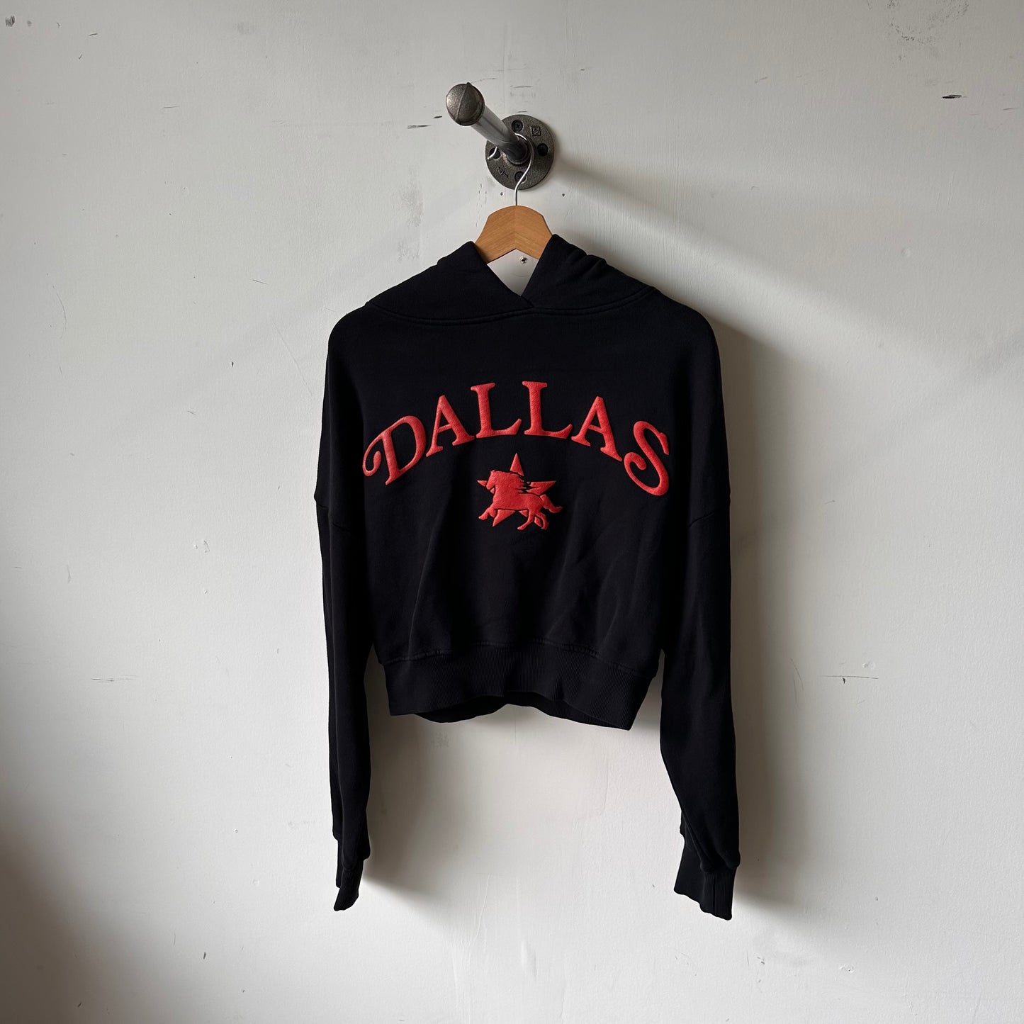 DALLAS PUFF PRINT CROPPED HOODIE: VALENTINES EDITION